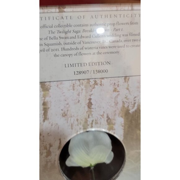 Limited Edition The Twilight Saga:  Breaking Dawn - Part 1 Wedding Photo with Mo - Picture 4 of 10